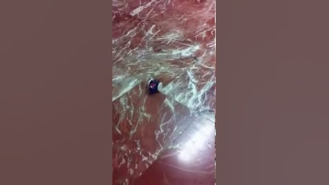 Control of an arduino-based mobile robot with a Java program using the Java GUI tools