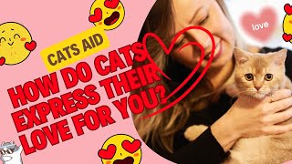 Unlocking the Mystery: How Cats Say I Love You! Insider Secrets by cats aid 95 views 1 month ago 2 minutes, 45 seconds