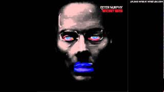 Video thumbnail of "Peter Murphy - Good works"