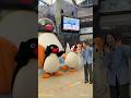 2027/2/28までの限定開催!🐧ピングー×アドベンチャーワールド🐧『PINGU™ meets アドベンチャーワールド〜10種類のペンギンに会える!〜』