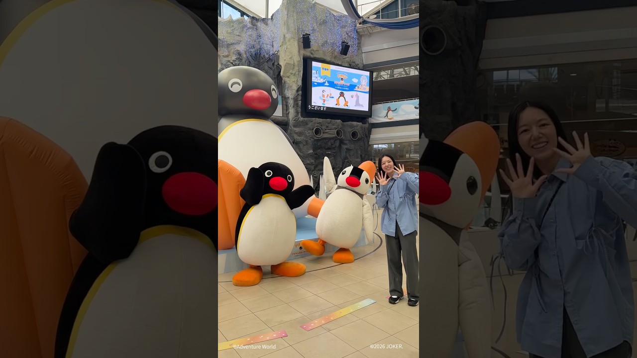 2027/2/28までの限定開催!🐧ピングー×アドベンチャーワールド🐧『PINGU™ meets アドベンチャーワールド〜10種類のペンギンに会える!〜』