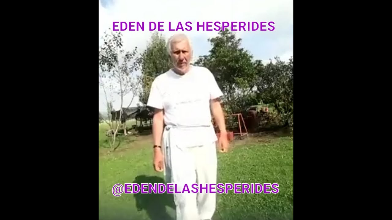 TAOTENSEGRIDAD. Runas para limpiar la energía besqui. M. ALVAKSDO. 