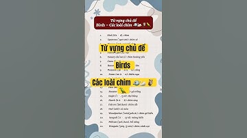 Từ vựng chủ đề: Birds – Các loài chim 🐦🦢🦉🦜 #hoctienganh #tuvungtienganh #embraceenglish