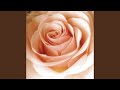 あの花と太陽と - YouTube