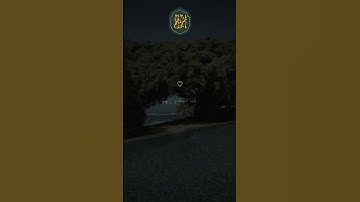 ❤️ تلاوة خاشعة جميلة بصوت ماهر المعيقلي ارح سمعك ♡ #ماهر المعيقلي #اكسبلور فولو #43