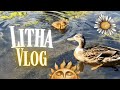 Relaxed Litha Vlog 2025║Reconnecting with Nature, Stonehenge and Tarot