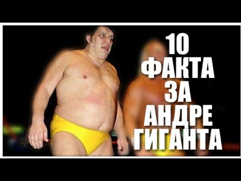 Видео: Иска ли Шантал Андре да разшири семейството?