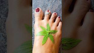 New Stylish Leaf Mehndi Design ❤️🌿💁🏻‍♀️  #leafmehndi​ #youtubeshorts​ #mehndi​ #shots​ #mehndidesign