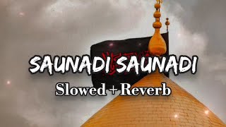 Saunadi Saunadi | Slowed + Reverb | Hadi Faour | #youtube #naat