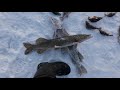 Рыбалка на озере Шаглытениз(Чаглы).Северный Казахстан. Щука и окунь на жерлицы.