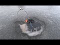 Последний лёд в декабре! Жерлицы исчезают подо льдом! Рыбалка на мормышку и флаги на водохранилище