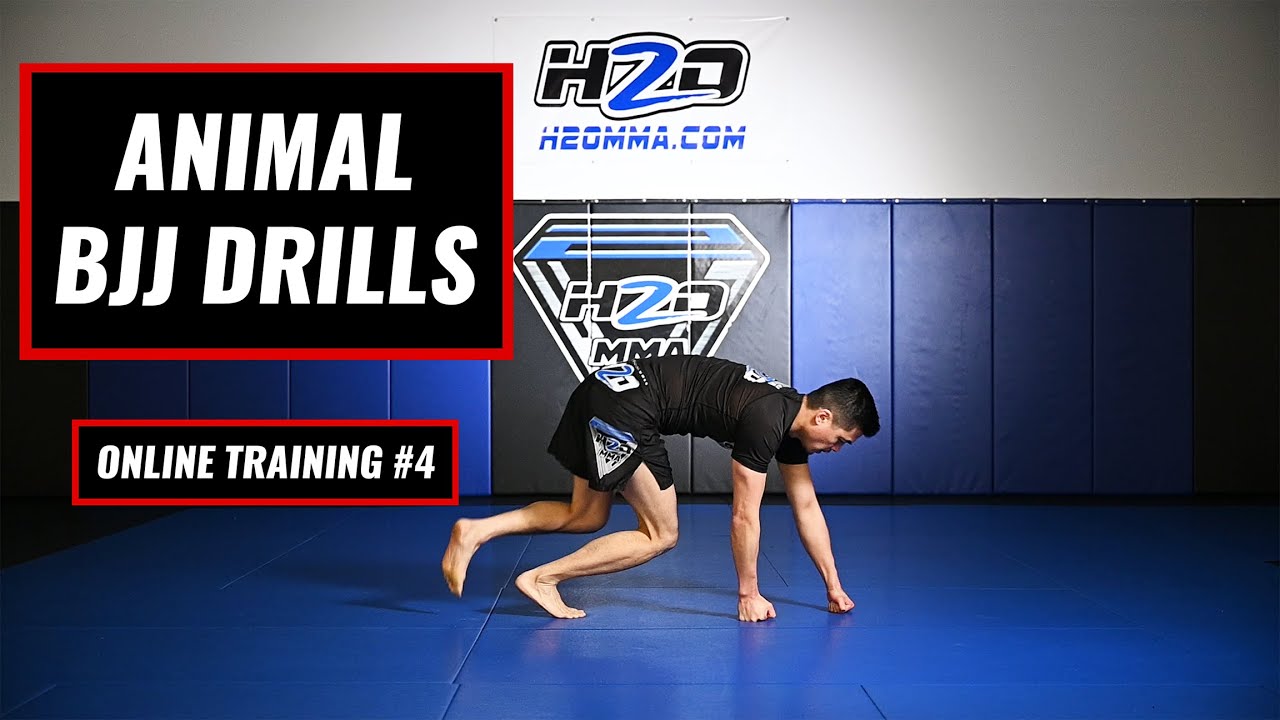 9 Best Animal Movement Drills Workout for BJJ All Levels Kids