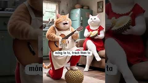 Mồn lèo hát lịnh vợ vẫn bị nhập viện phần 41 #meocambeo #giaitri #hàihước #animals 