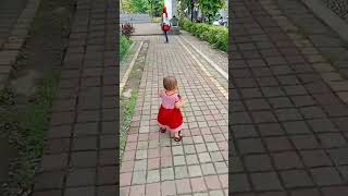 bakpao , bakpao,stroberi, coklat,anget-anget