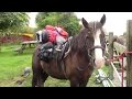 Preparing for a solo horseriding journey  what to take and how to tie it on