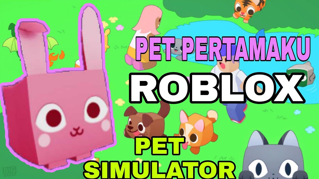 Bunny pet pertamaku di roblox pet simulator - YouTube
