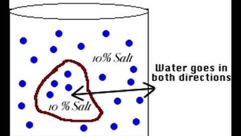 Diffusion and Osmosis