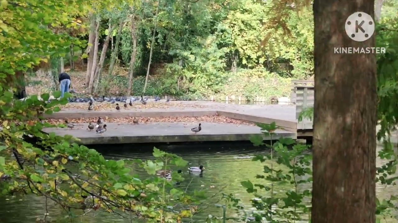 In the forest of Gonesse, Paris. A hidden gem in paris. Just 15km away from Eiffel Tower.