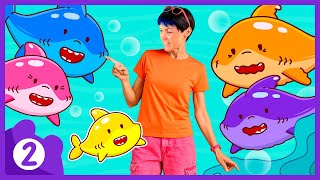 where shark family is hiding let s find them all play shark
