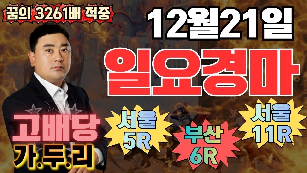 12월21일 일요일 서울5경주 부산6 경주 때립니다!!!🎯경마🟢 경마 고배당🟢 서울경마🟡부산경마🔵제주 경마