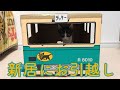 ラッキーハウス３号 〜新居にお引越し〜 Moving kitten
