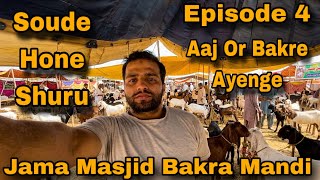Jama Masjid Bakra Mandi || Soude Hone Shuru || Aaj Or Bakre Ayenge