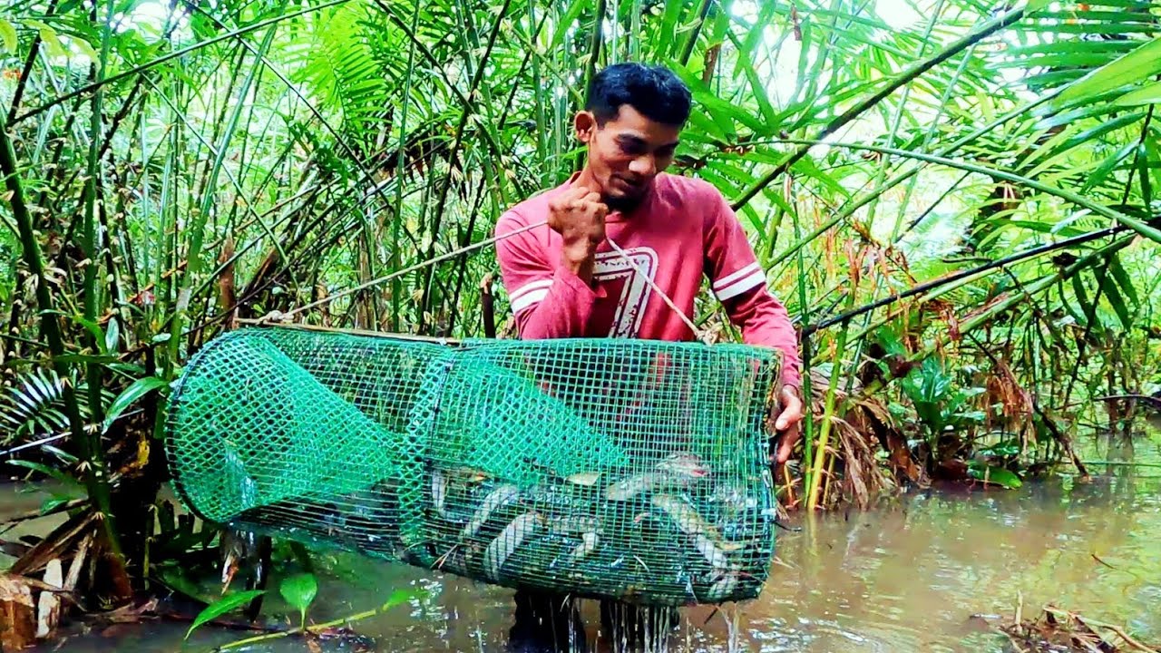 pesta ikan keli limbat di musim tengkujuh eps126