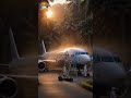 Tree Grew Through This Abandoned Plane… We Restored It 😱✈️#airplanerestoration #abandonedaircraft