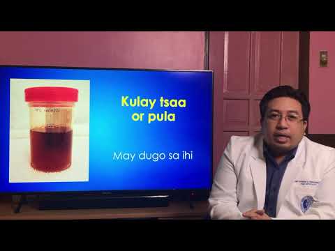 Video: Paano Ilarawan Ang Iyong Hitsura