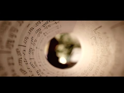 Ava Margo - Cariño (Official Video)