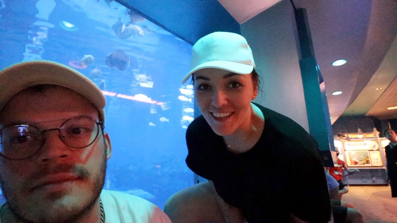 We hebben een reactie op ons bod | Vloggloss 2768