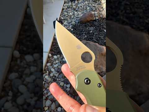 Spyderco Exclusive Para 3 in CTS-204P