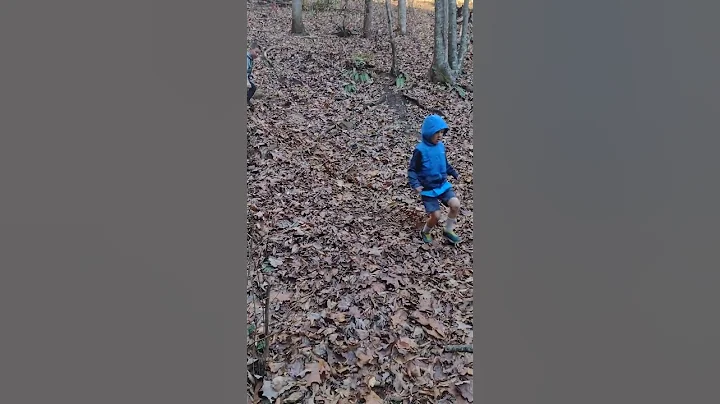 Hiking the Bartram Trail at Wallace Branch with Gr...