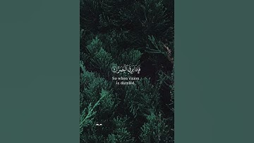 46_Story_Quran سوره القيامه بصوت القارئ عادل ريان تلاوه خاشعه ♥️#story #quran #استوريات #قرآن #viral