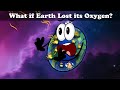 Amsome Video Quiz