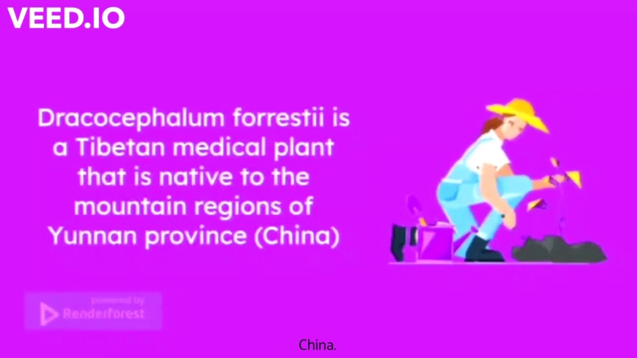 Production of Phenolic Acids From Medicinal Plants