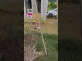 Mi Hijo en Oaxaca, Oaxaca jugando con los pajaritos y gallos #oaxaca #mexico #birds #funnyvideo