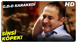 Beni Kardeş Katili Yapacaksınız G.d.o. Karakedi Efsane Sahneler