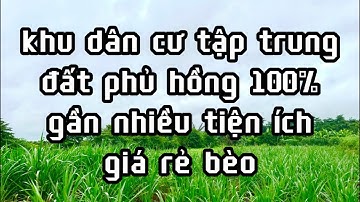 anh bằng cần tiền nên bán rẻ lô đất ở vị trí đẹp diện tích phải chăng ở châu đức bà rịa vũng tàu