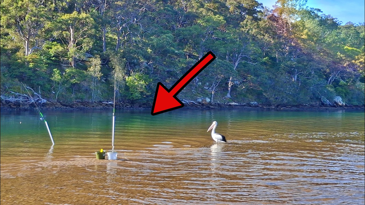 Fishing Penfold Island (Grays Point), Port Hacking