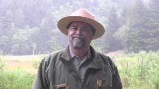 World Ranger Day - July 31
For this special day, three of our rangers reach out across the globe to other preservation agencies and their employees.
(English / Maori / German / Spanish language). World Ranger Day - July 31