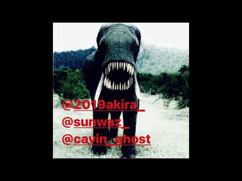 SONNA BAKKANA!? -cavin ghost x 2019akira x sunwaz