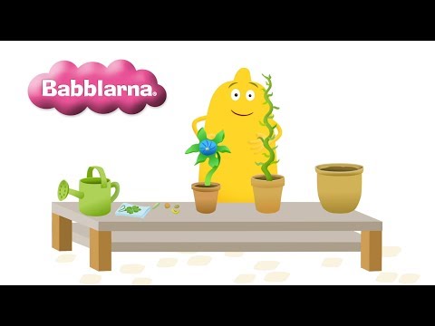 Video: Säker växter för barn - Odla krukväxter i barns sovrum