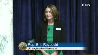 Rep. Raybould presents H895, regarding data centers' water usage Wealth