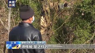 粮库门卫详述胡鑫宇遗体发现过程:狗向深处树林跑去……