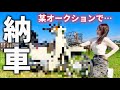 【納車】某オークションで購入したバイクがヤバすぎた。