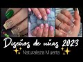 DISEÑOS DE UÑAS 2023💅 naturaleza muerta #nails #acrylic #trendsnails #trendsnails #diseñosdeuñas