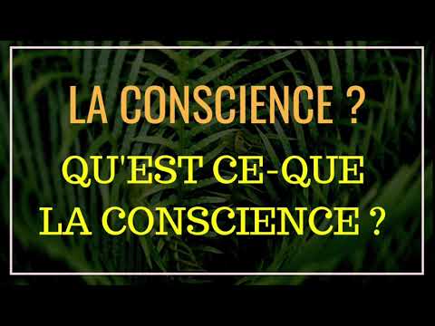 Vidéo: Qu'est-ce Que La Conscience