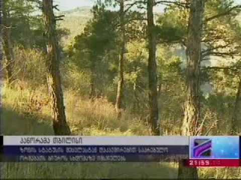 სოლოლაკის ქედის სტატუსთან დაკავშირებით აზრთა სხვადასხვაობაა