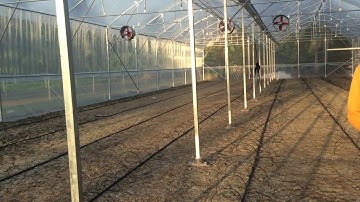 Hướng dẫn làm nhà màng trồng dưa leo thuỷ canh